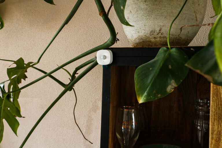 Tapo T100 bewegingssensor