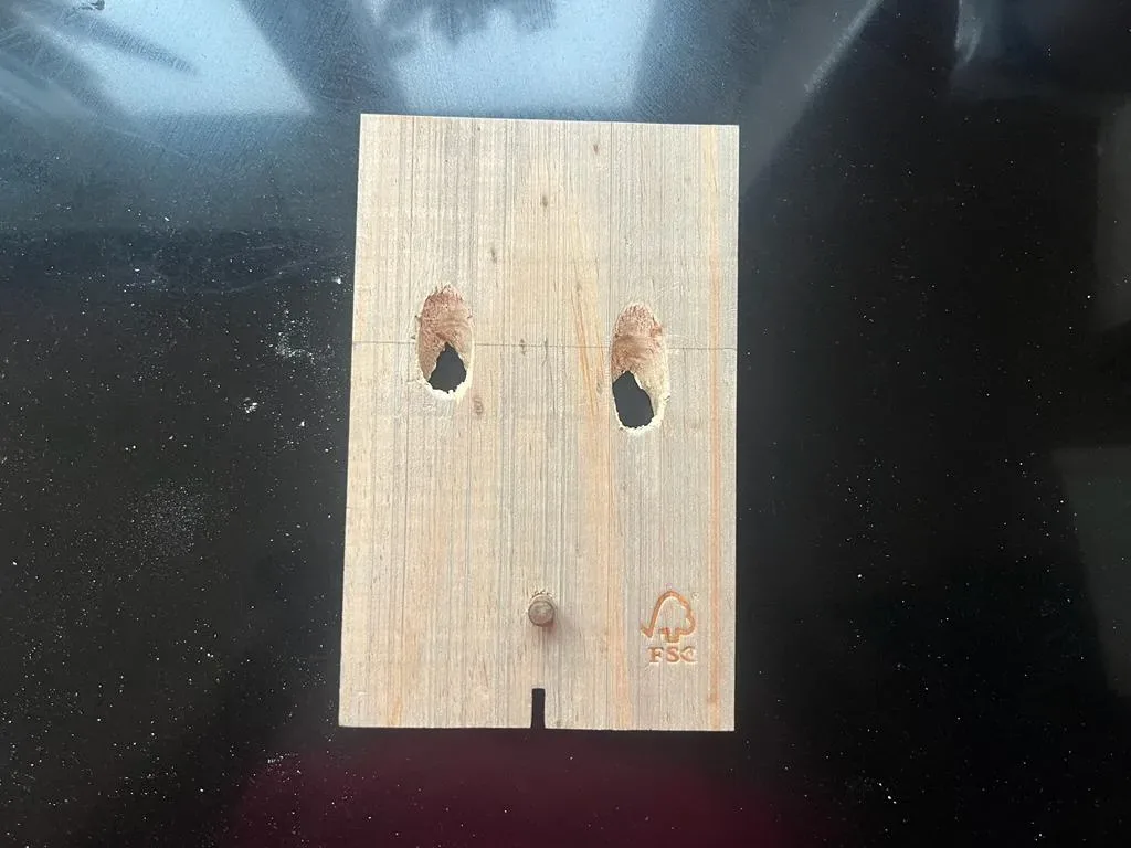 Zijplaat vogelhuis met lichtgaten voor camera