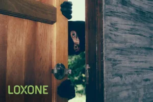 Beveiliging Loxone