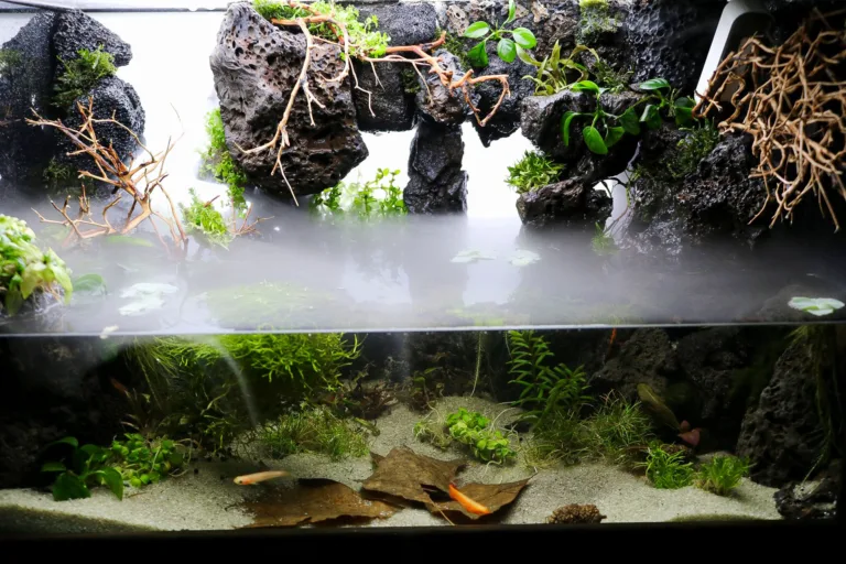 softscape paludarium