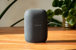 Google Nest Audio Review mono